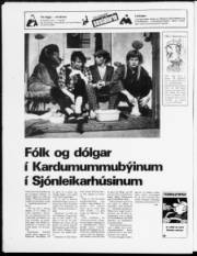 Síða 24