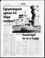 Síða 3