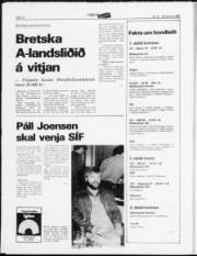 Síða 12
