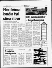 Síða 3