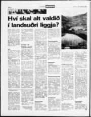 Síða 8
