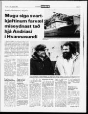 Síða 17