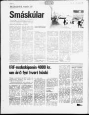 Síða 16