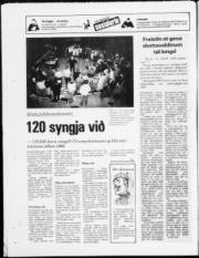 Síða 24