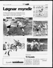 Síða 13