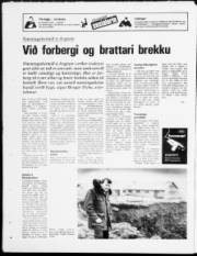 Síða 24