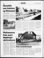 Síða 2