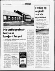 Síða 3