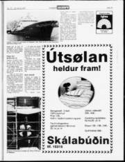 Síða 14