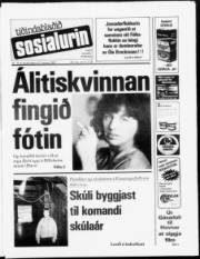 Síða 1