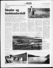 Síða 2