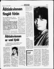 Síða 3