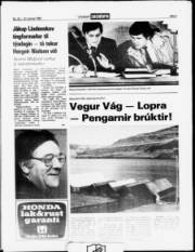 Síða 5