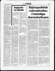 Síða 7