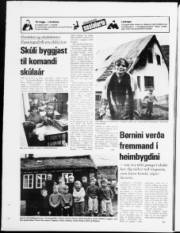 Síða 24