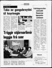 Síða 3