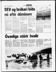 Síða 5