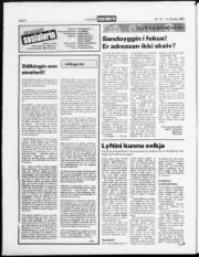Síða 6