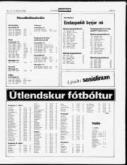 Síða 13