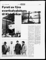 Síða 19