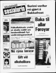 Síða 1