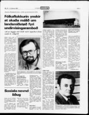 Síða 3