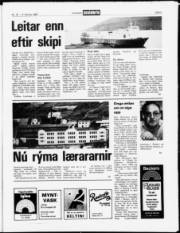 Síða 5