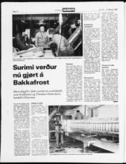 Síða 14