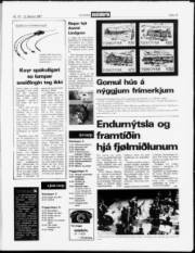 Síða 19