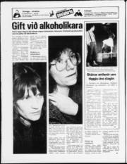 Síða 20