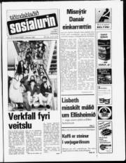 Síða 1
