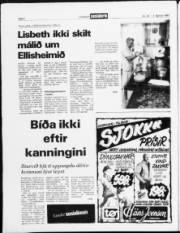 Síða 2