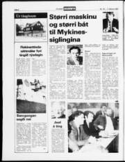 Síða 8
