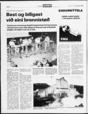 Síða 2