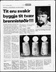 Síða 3