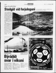 Síða 4