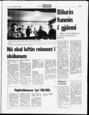 Síða 5