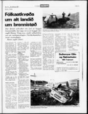 Síða 13