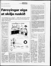 Síða 15
