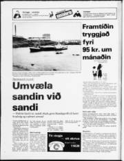 Síða 20