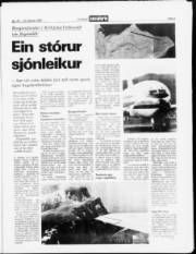 Síða 3