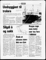 Síða 5