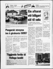 Síða 19