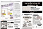 Síða 21