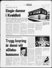 Síða 2