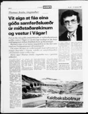 Síða 8