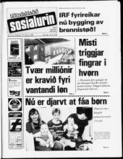 Síða 1
