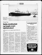 Síða 9