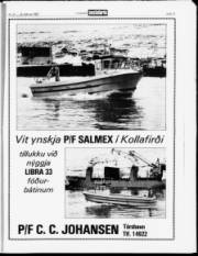 Síða 13