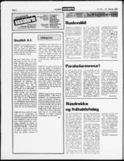 Síða 6